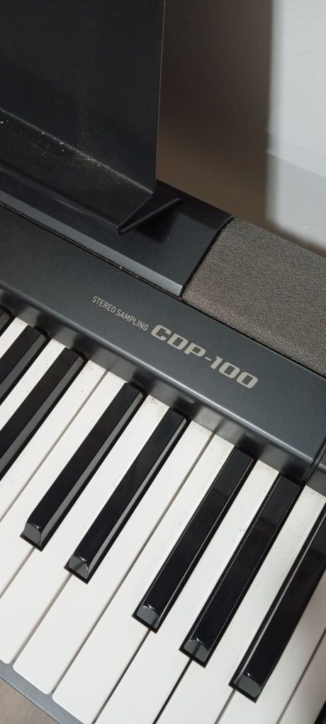 Piano Casio Stereo Sampling COP-100