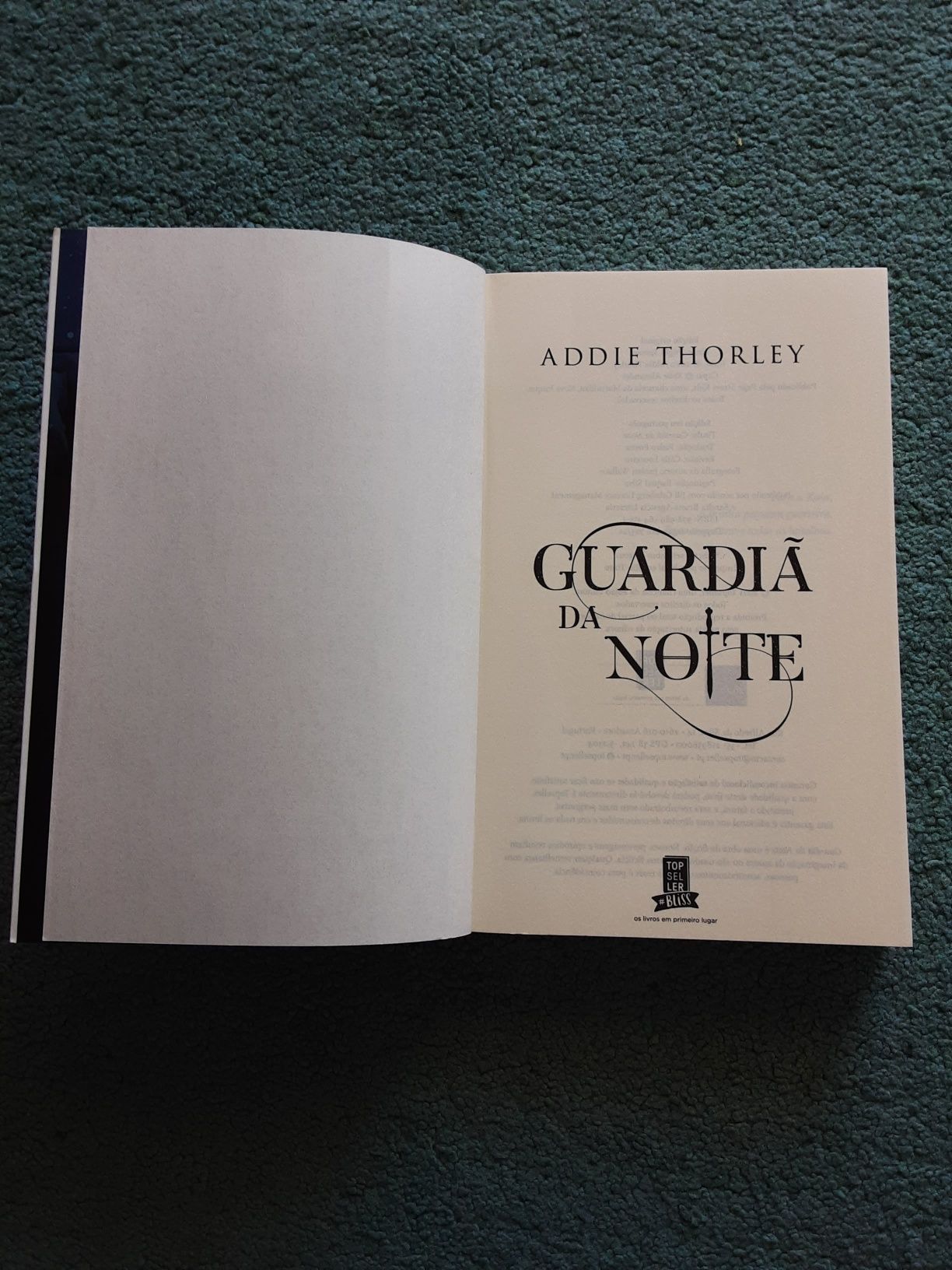 Guardiã da Noite- Addie Thorley