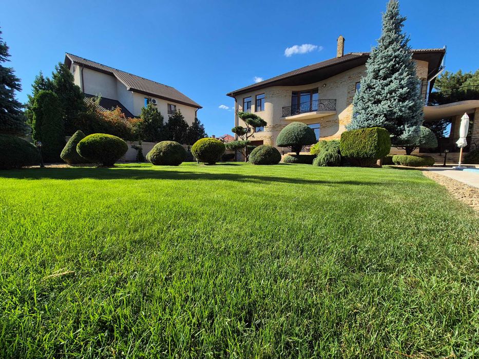 Продам шикарный дом в Совиньоне