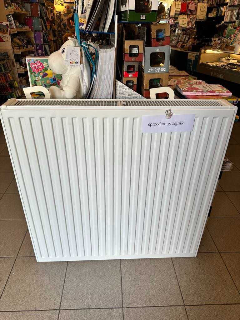 Grzejnik dwupłytowy z podłączeniem dolnym, biały