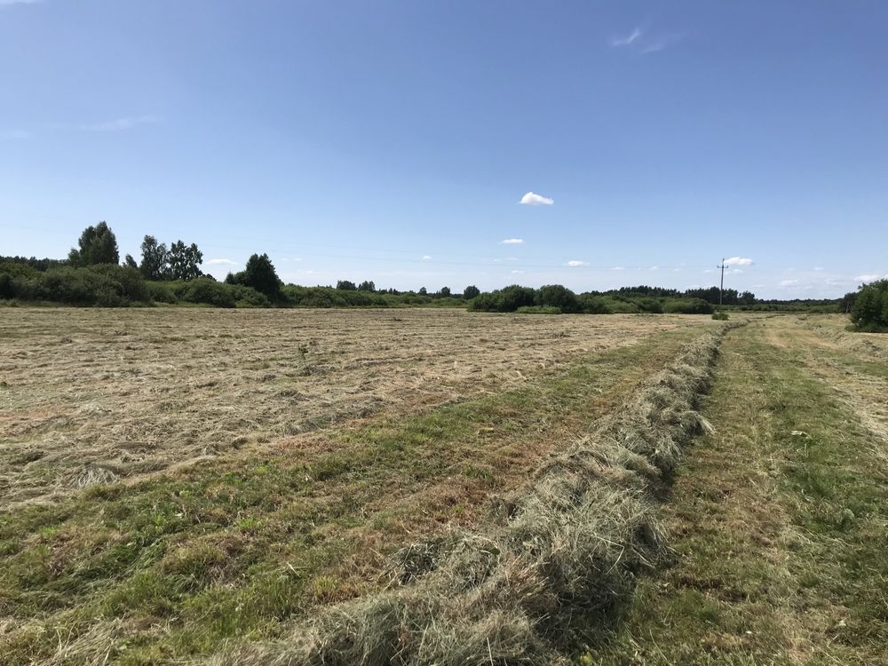 Sprzedam Siano na pasze oraz podściół