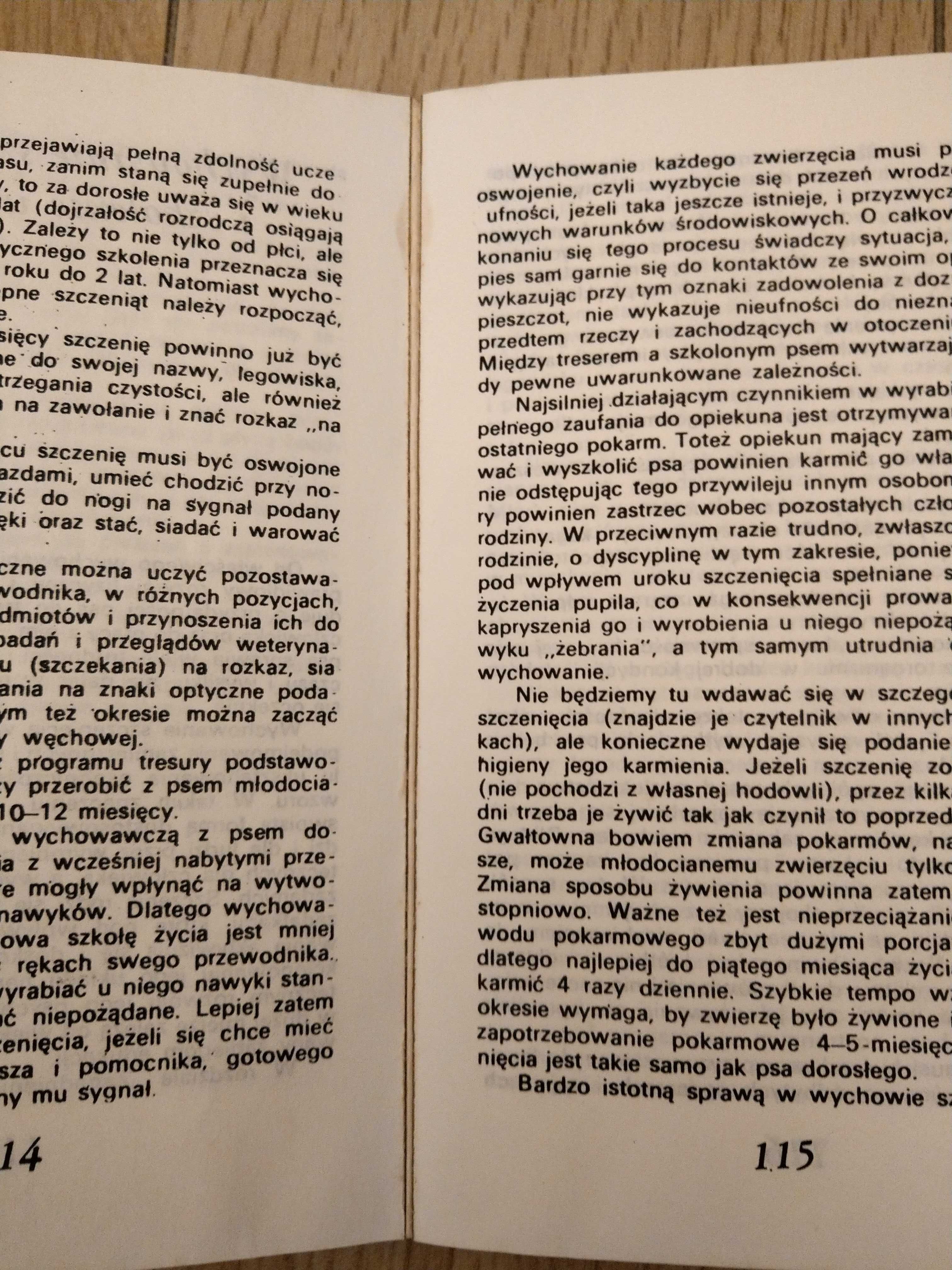 "Amatorskie szkolenie psów" Antoni Brzezicha, Henryk Lisiecki