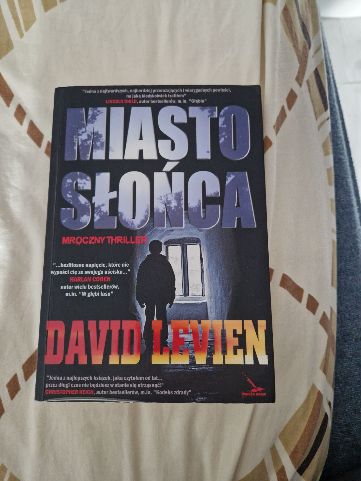 "Miasto słońca " David Levien