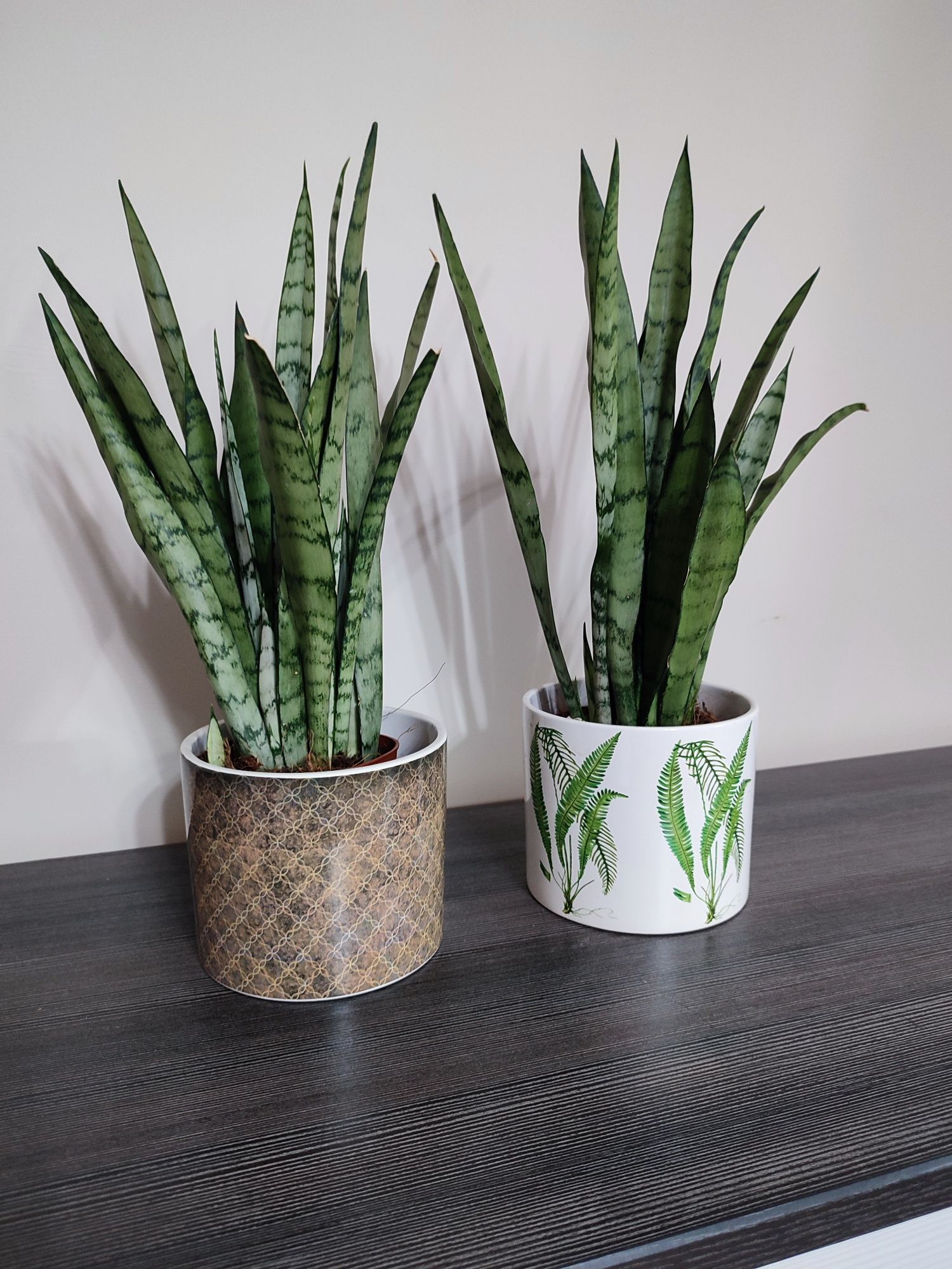 Szerokie ceramiczne donice osłonki we wzory