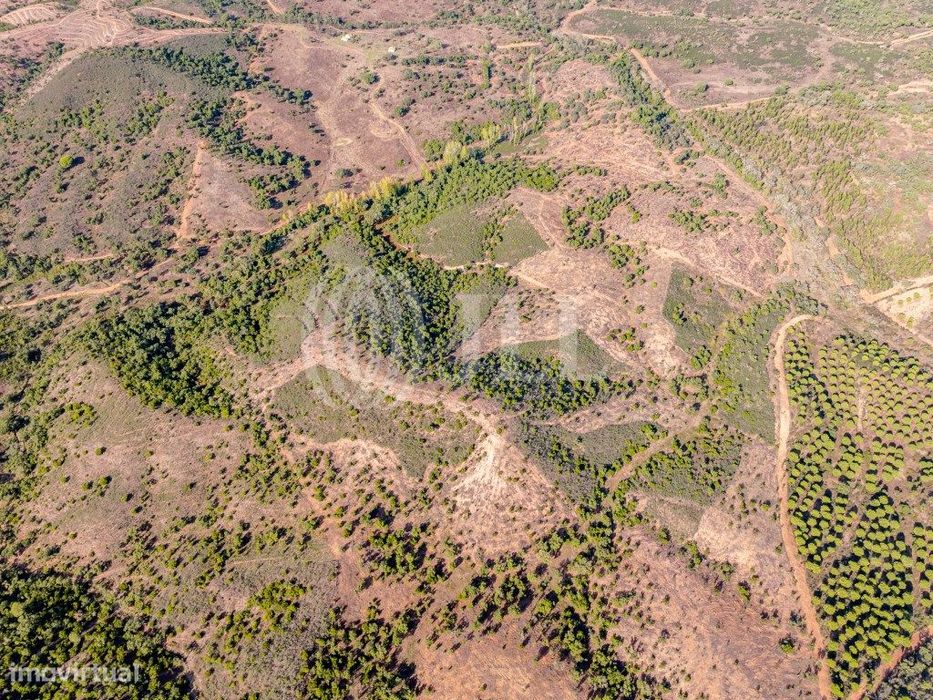 Terreno em Santa Margarida da Serra