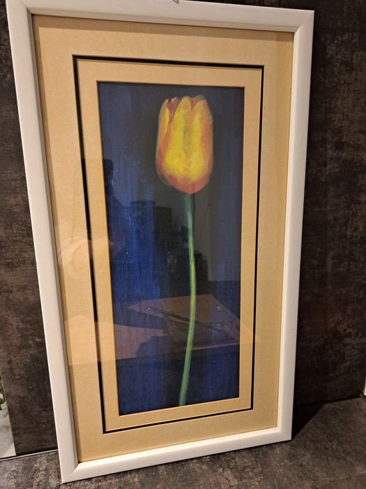 Piękny żółty tulipan