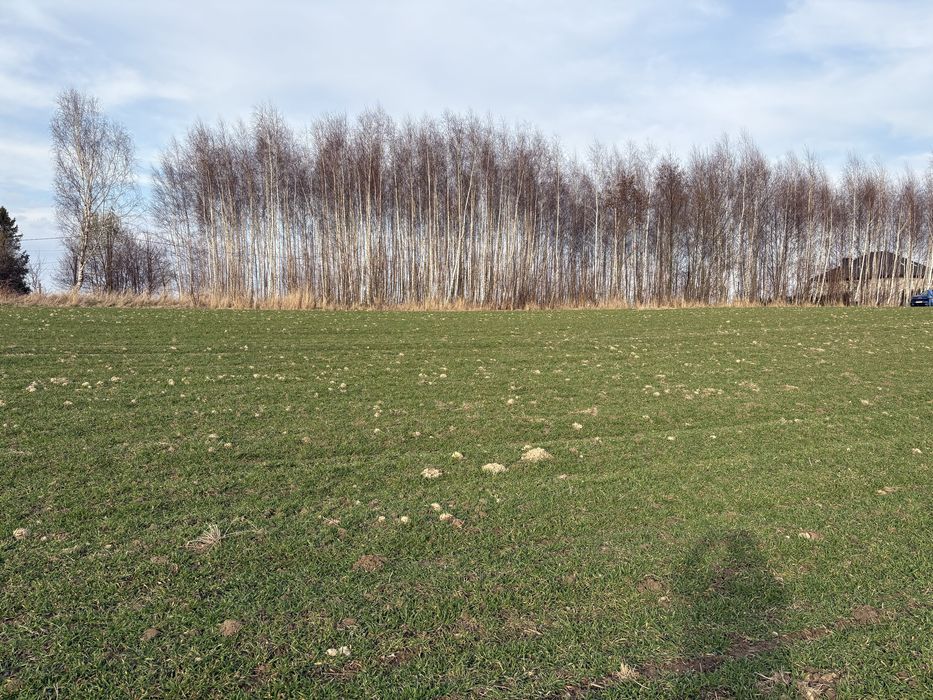 Działka budowlana