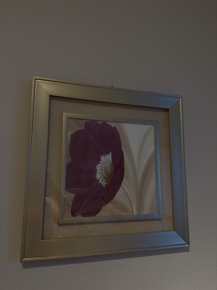 20€ os dois quadros
