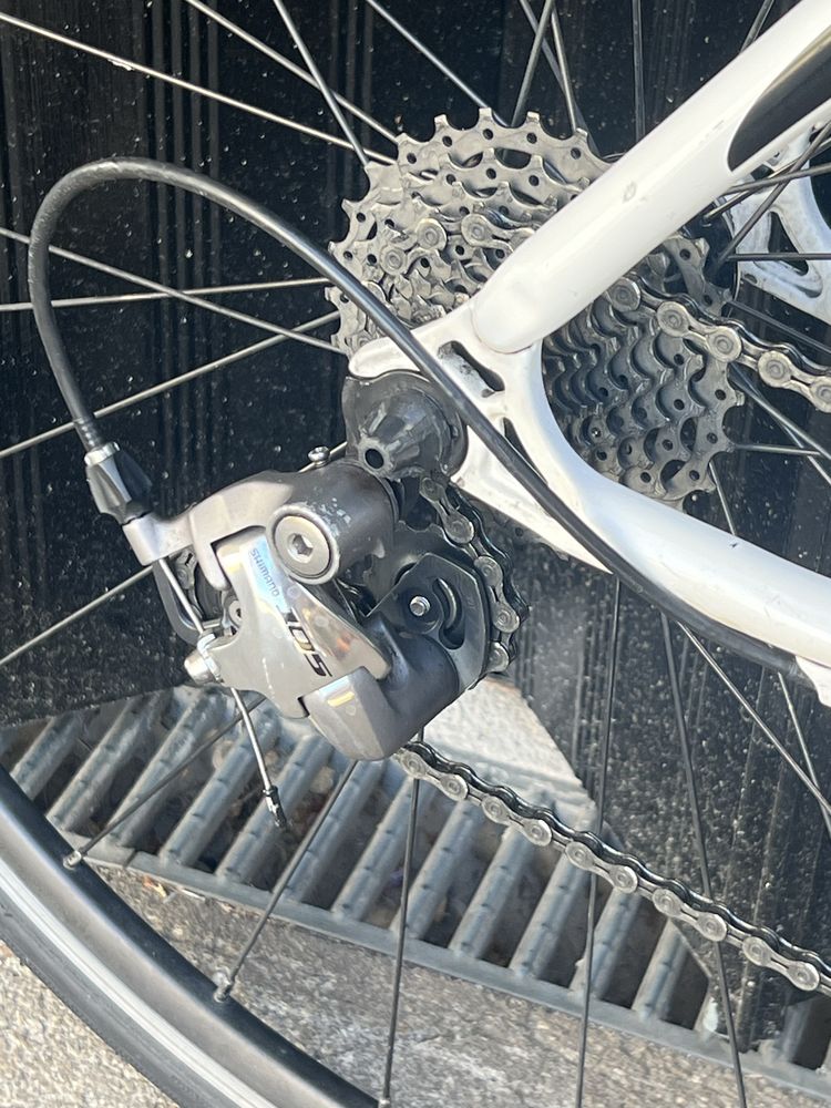 Bicicleta Dolan carbono