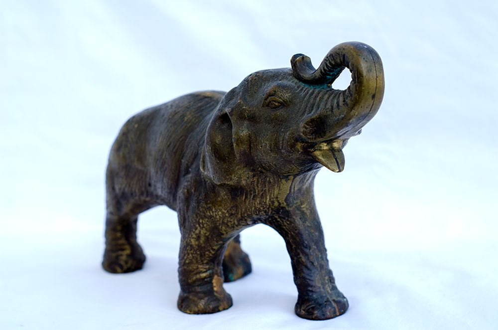 Elefante (Latão)