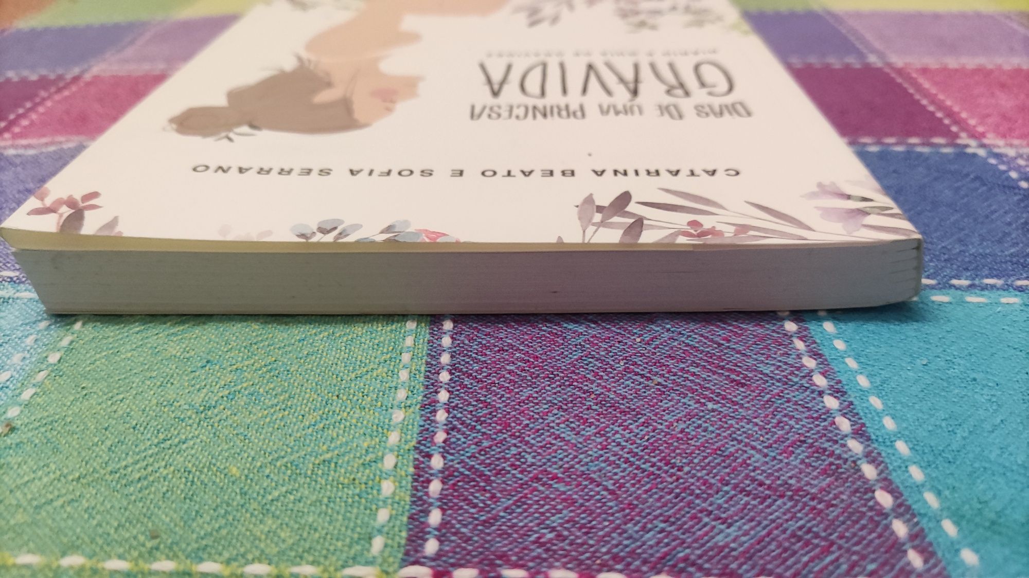 Livro Dias de uma Princesa Grávida