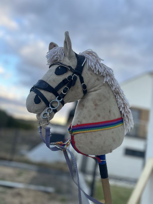 Piękny hobby horse
