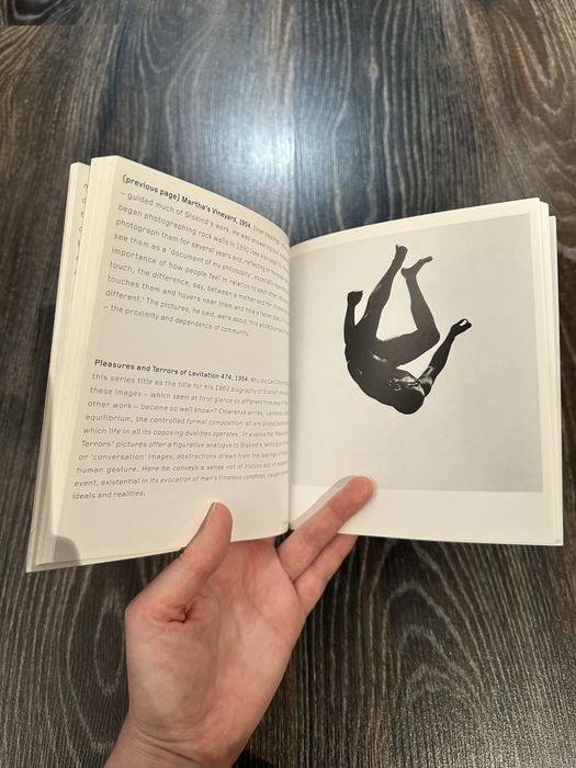 Книга - Aaron Siskind (Phaidon 55's)