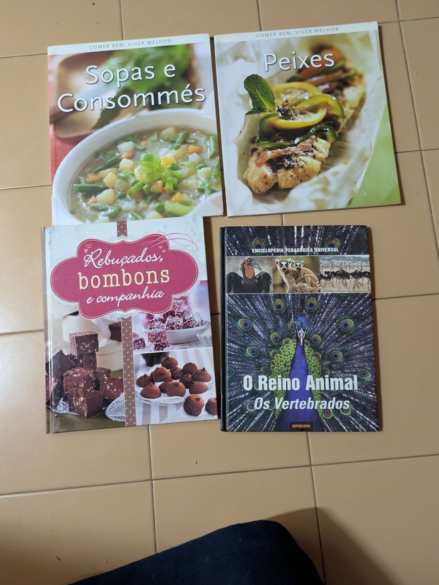 Livros variados  culinária enciclopédia