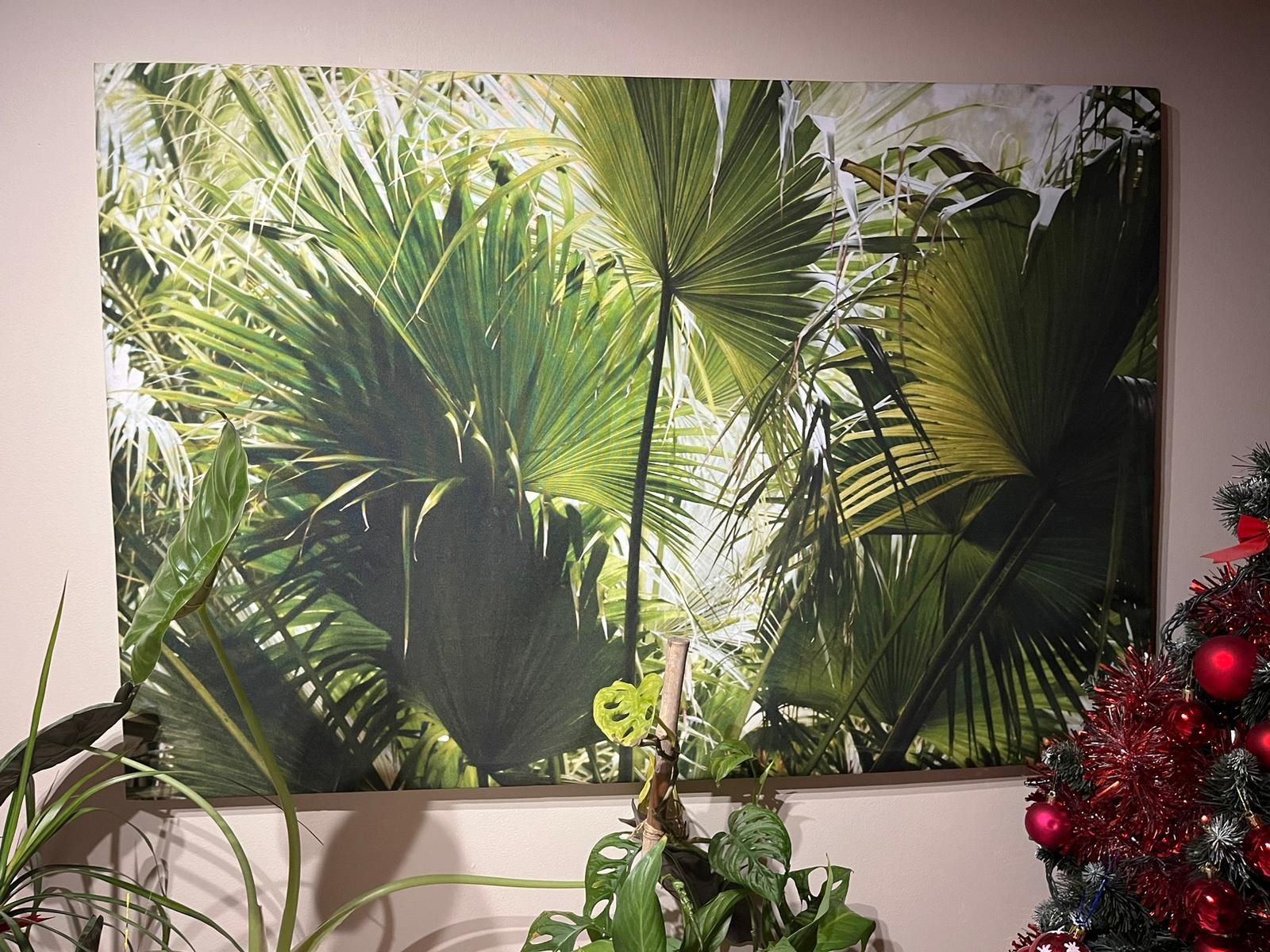 piękny duży obraz Monstera, Las z ramą  - 120x80 cm -