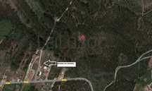 Terreno Florestal - Valpedre - Penafiel