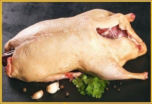 Продаємо тушки качки