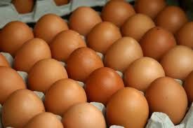 Инкубационное яйцо мясо яичных пород