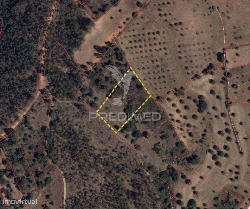 Terreno Rústico - Vila Moreira, Alcanena