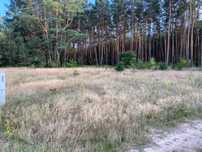 działka 2187m2/1200m2/1050m2 Zamość
