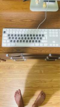 Клавиатура а1243 apple original на два выхода USB