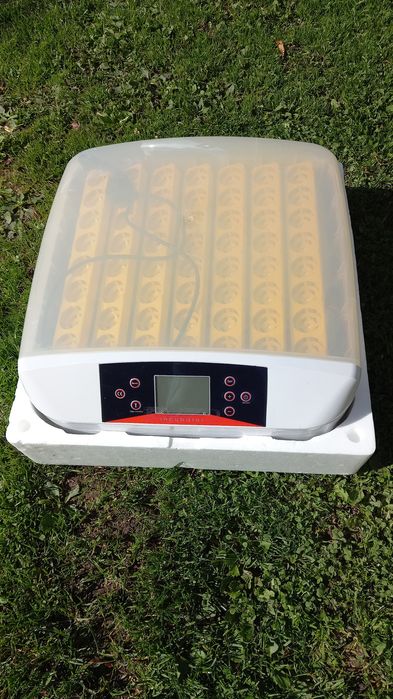 Inkubator 56 jaj.