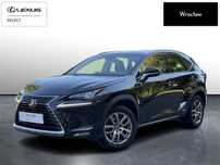 Lexus NX 300h Business Edition AWD | Skórzana tapicerka | Salon Polska | 1wł. |