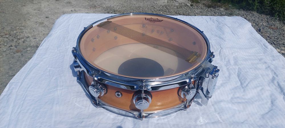 Werbel DW Collectors 14x4'' Standardowy klon (maple) data 12.02.2008r.