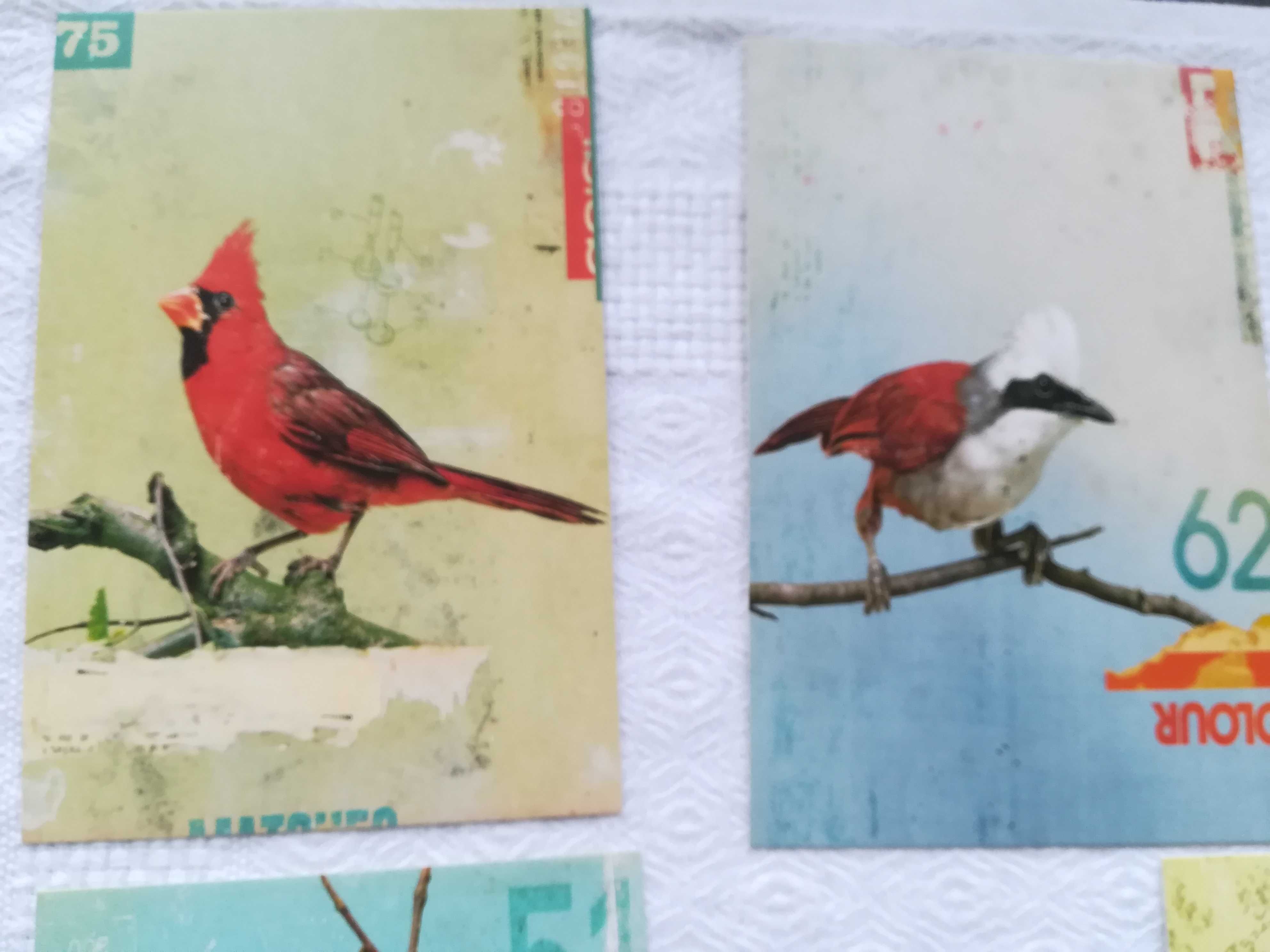zestaw kartek z ptaszkami, ptaki grafika