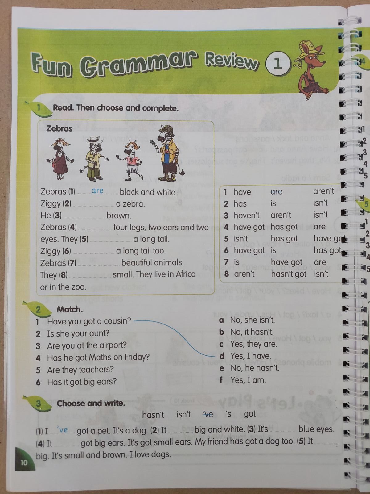 Fun grammar Fly high 1, 2, 3, 4