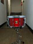 Werbel Mapex Maple Deluxe 14 x 8