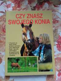 Czy znasz swojego konia?