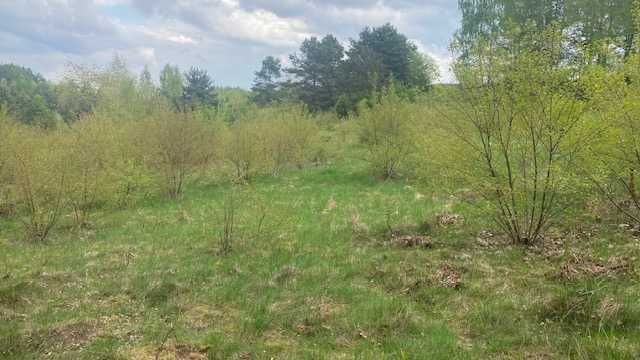 Atrakcyjna działka na ZIELONYCH WZGÓRZACH - 1365 m2