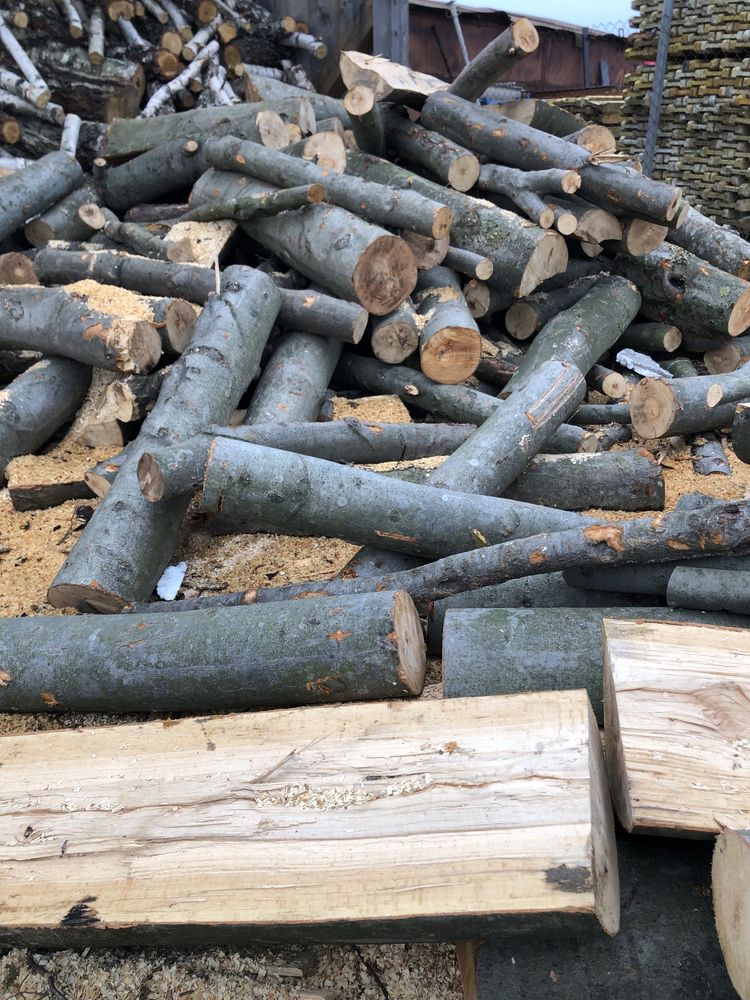 Продам дрова бук дуб граб береза від 1100грн