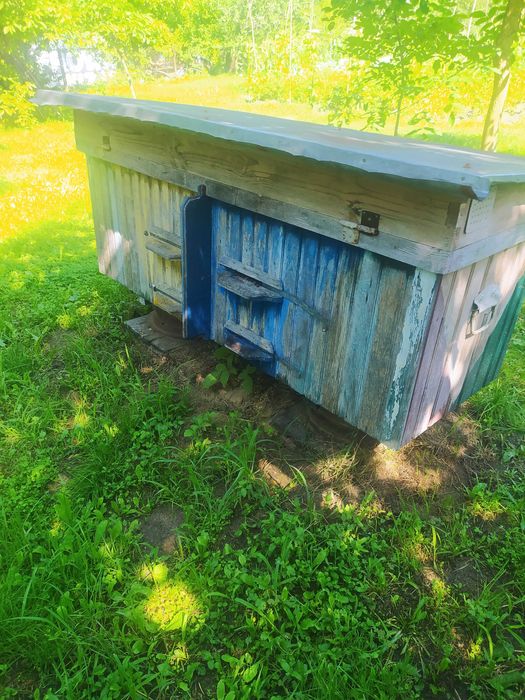 вулик український лежак дадан з бджолами і сам вулик, рамки