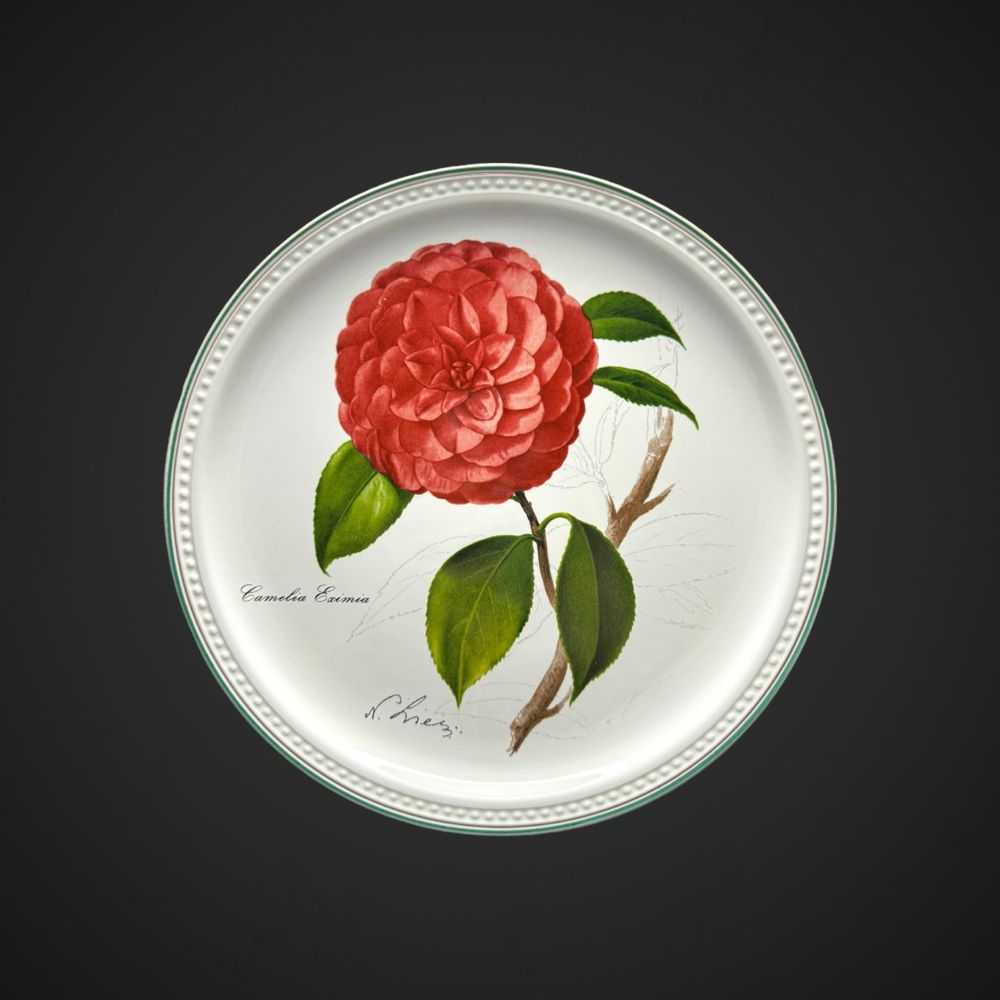 Villeroy & Boch talerz Camellia eximia Kamelia botanica B41521