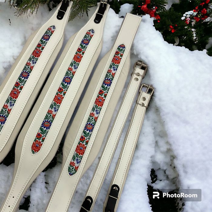 Pasy do akordeonu 96/120 Pro Folk, zestaw z basowym, skóra