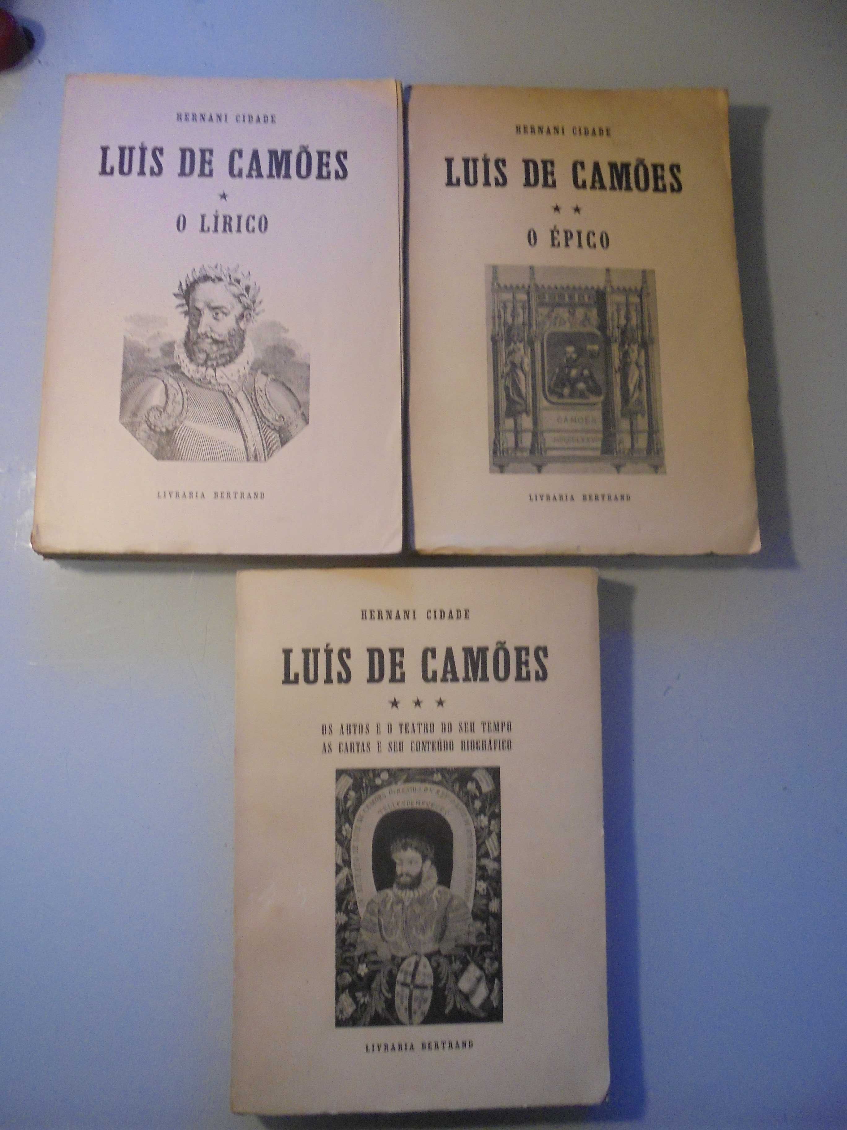 Cidade (Hernani):Luís de Camões-O Lírico-O Épico