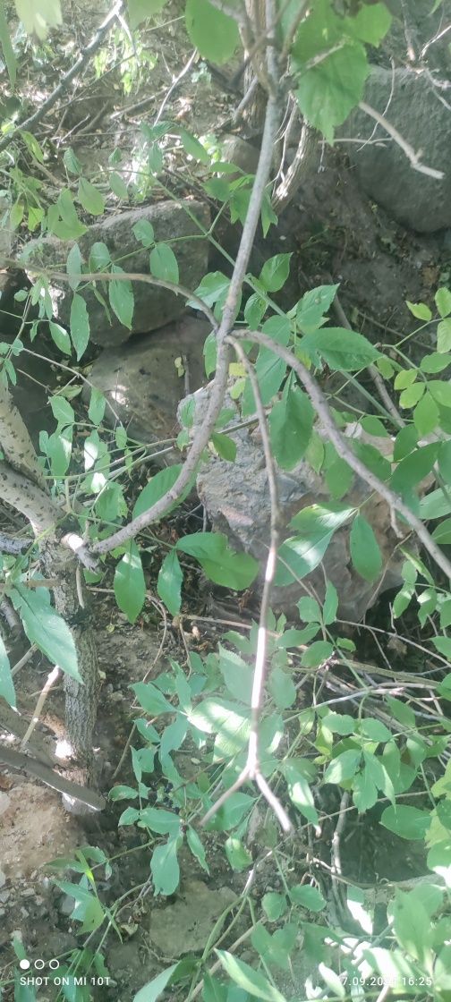 Kamień polny naturalny różnej wielkości, głazy