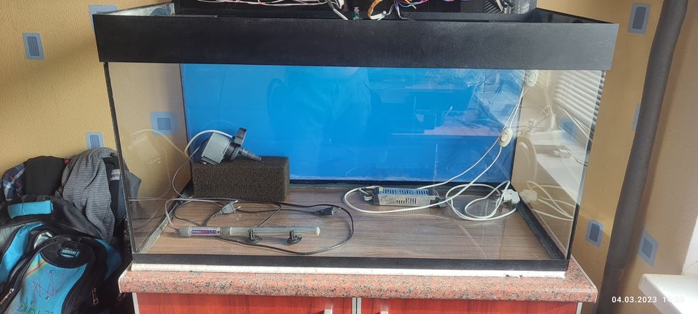 Аквариумистика (аквариум)