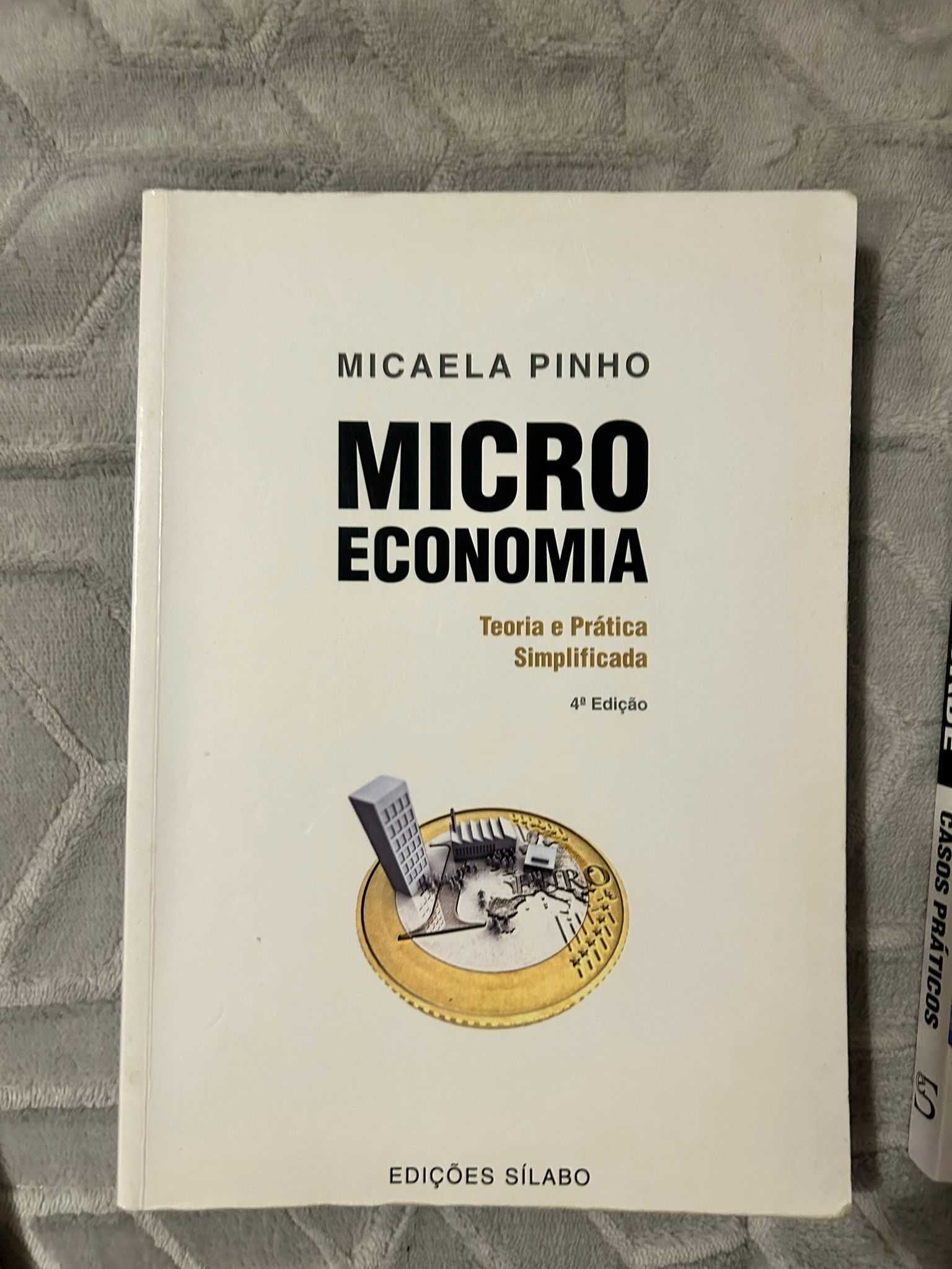 Livro Micro Economia Micaela Pinho