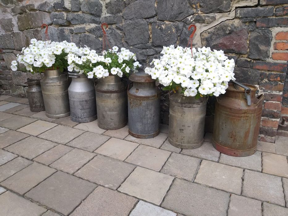 Zabytkowa stara kanka na mleko