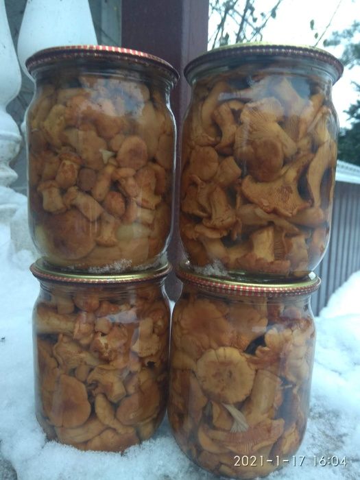 Гриби лисички мариновані