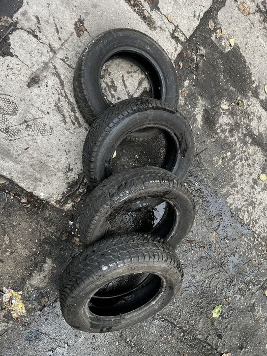 Opony zimowe Dębica Frigo 2 175/65 R14
