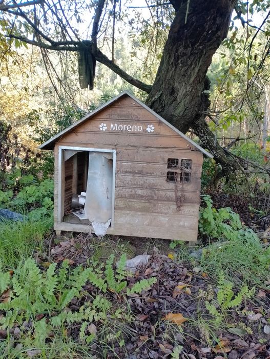 Casota para cão - bom estado