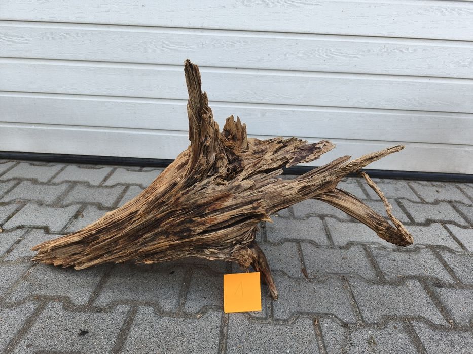 Korzeń do akwarium nr 1
