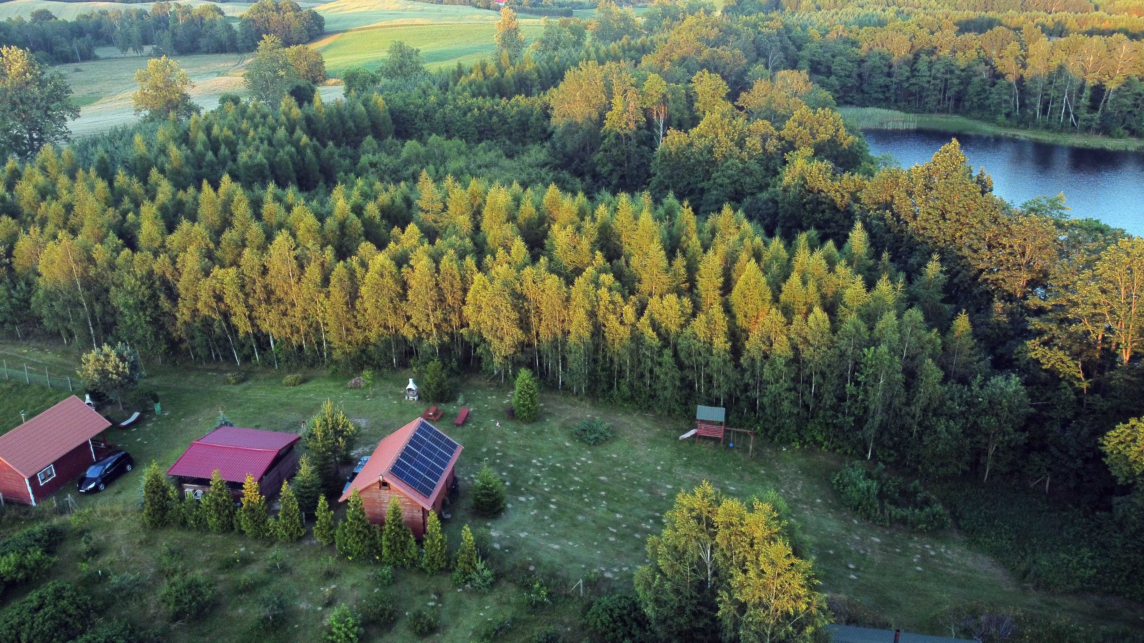 Domki z własną linią brzegową jeziora, Kaszuby- na wynajem
