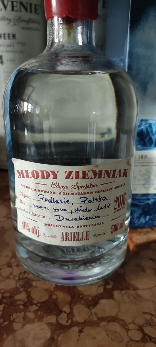 Młody ziemniak 2016 ARIELLE