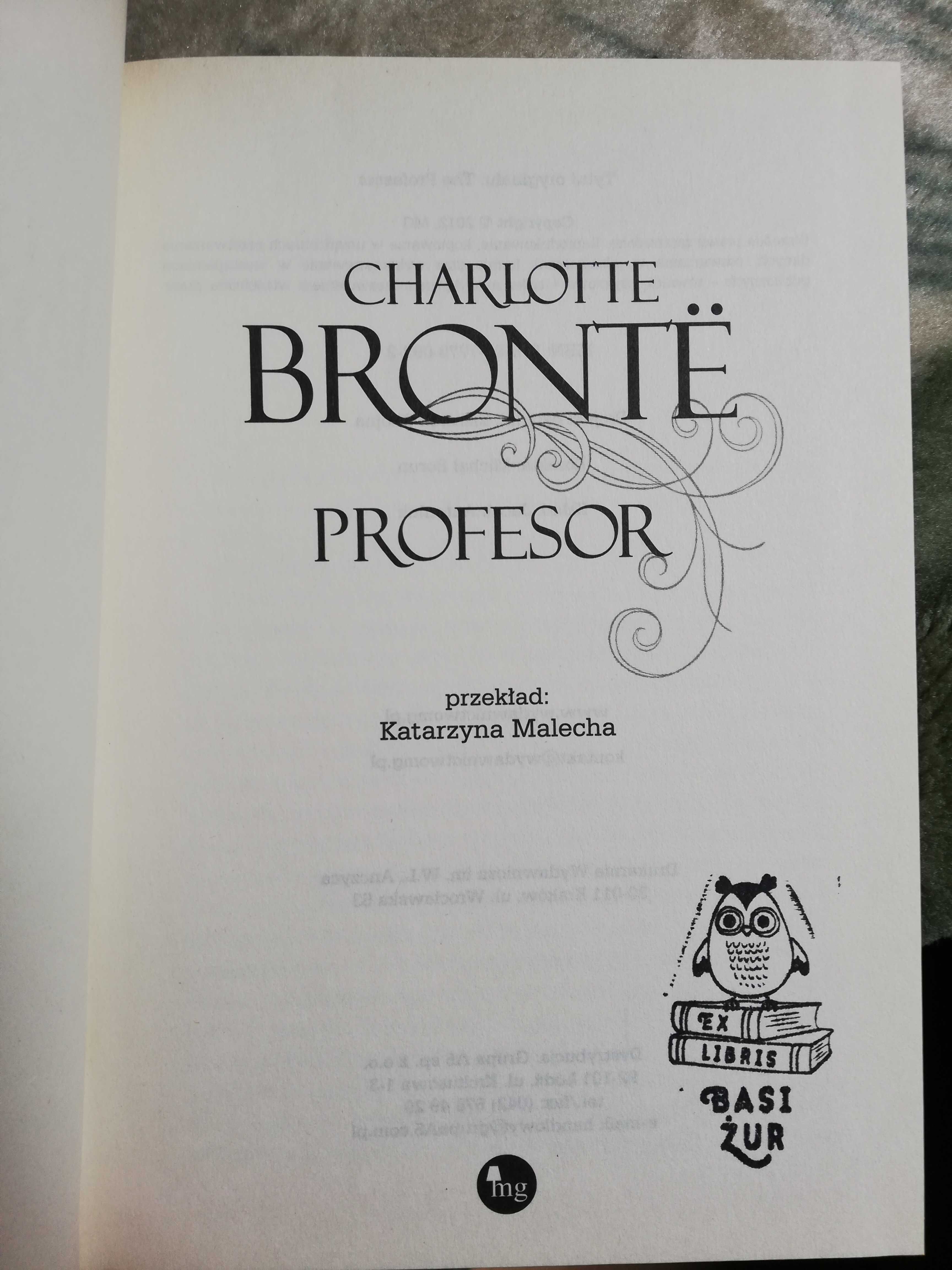 Profesor, Charlotte Bronte
