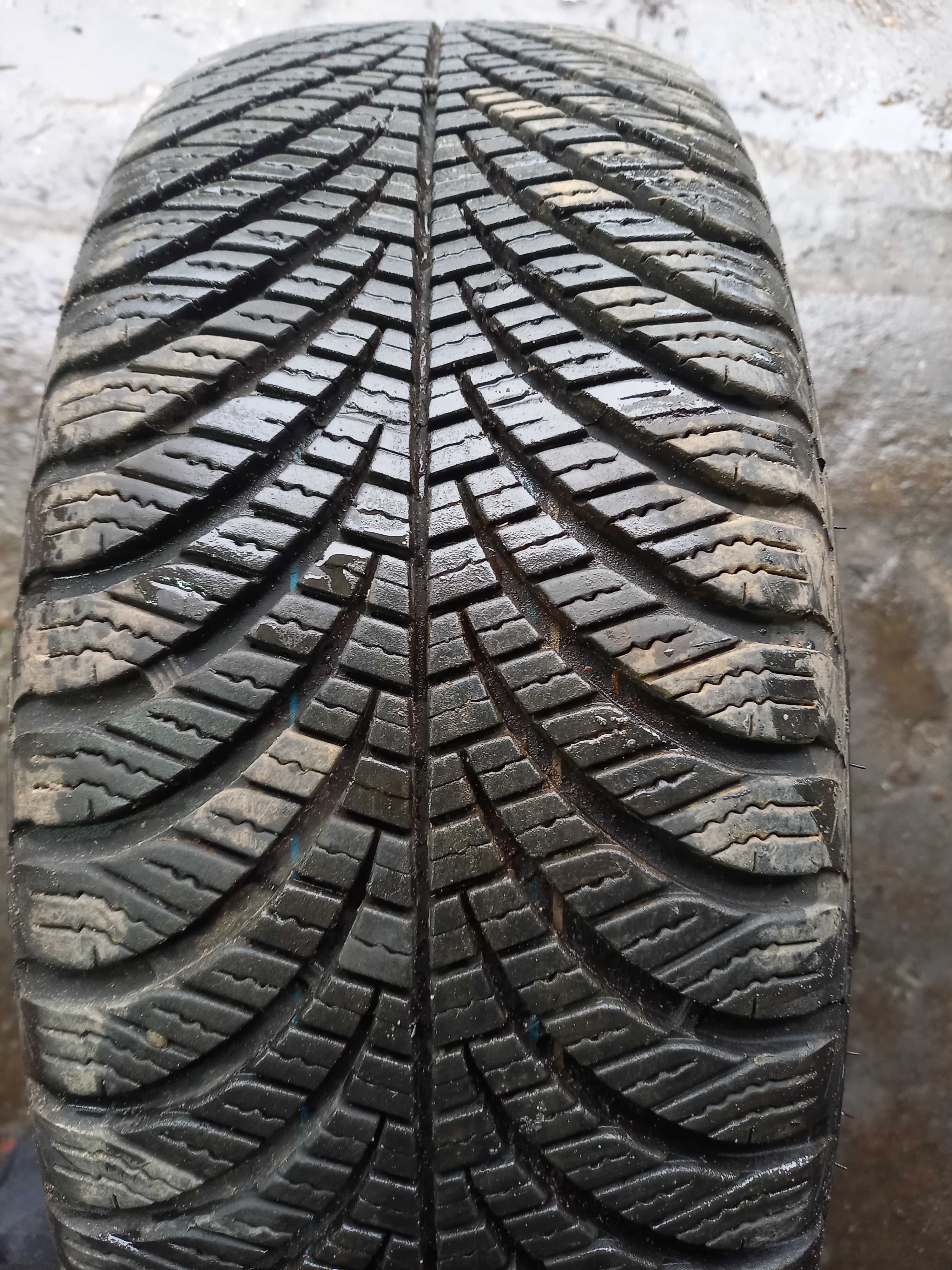 Goodyear Vector 4 Seasons Gen2 195/60 R15 88H 2019r